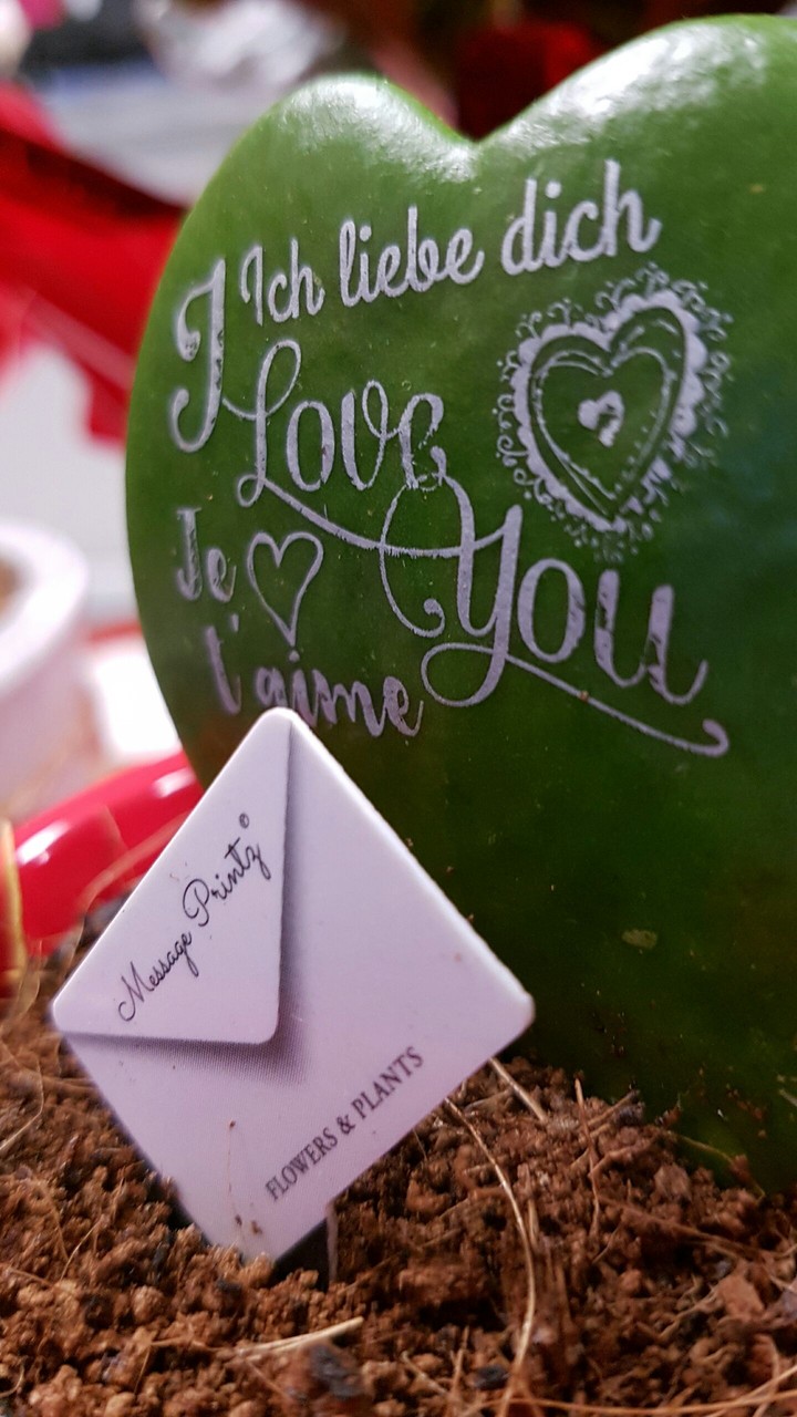 love