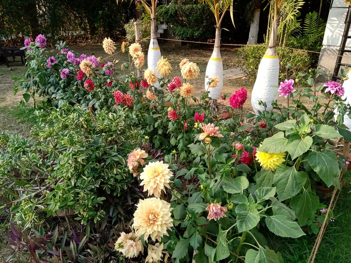 HaPpY fLoWeRs?