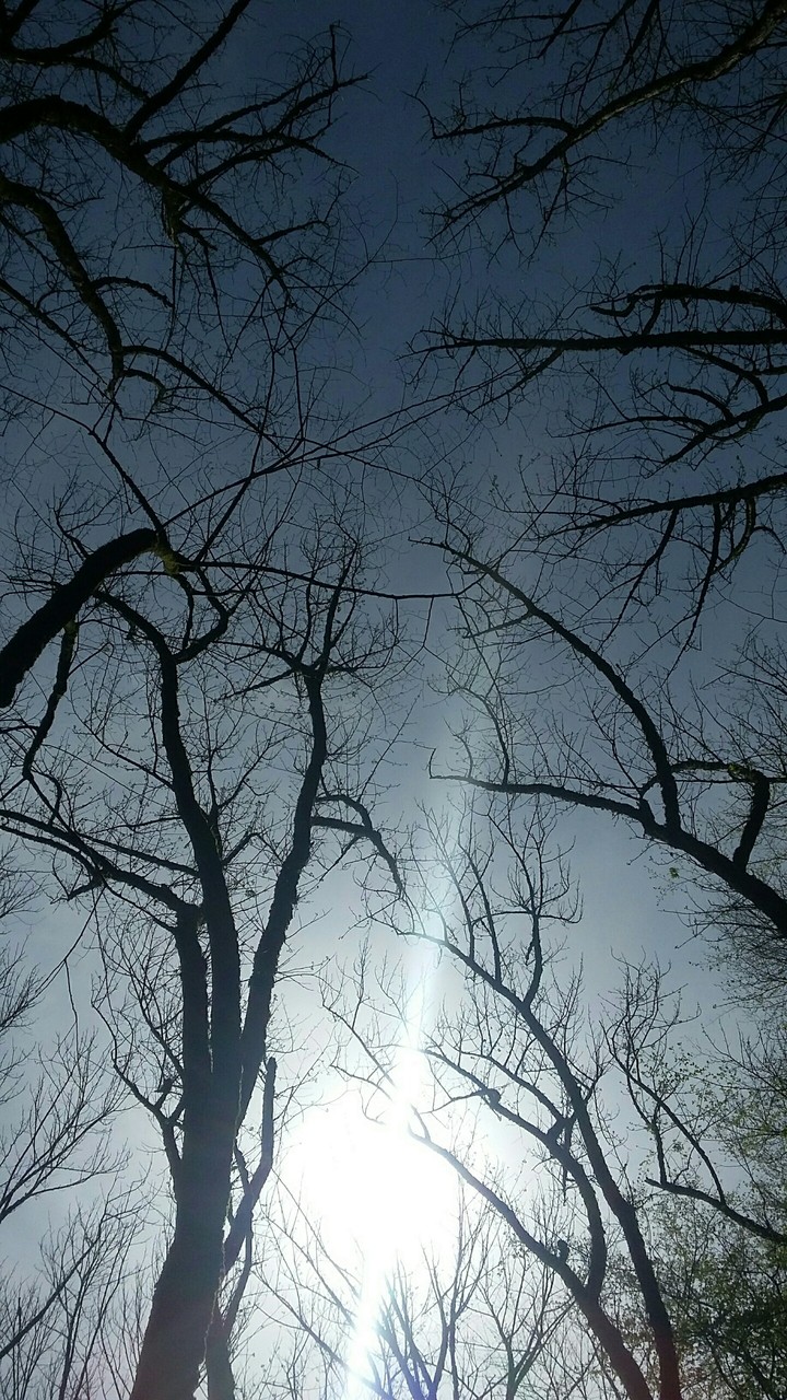 mazandaran