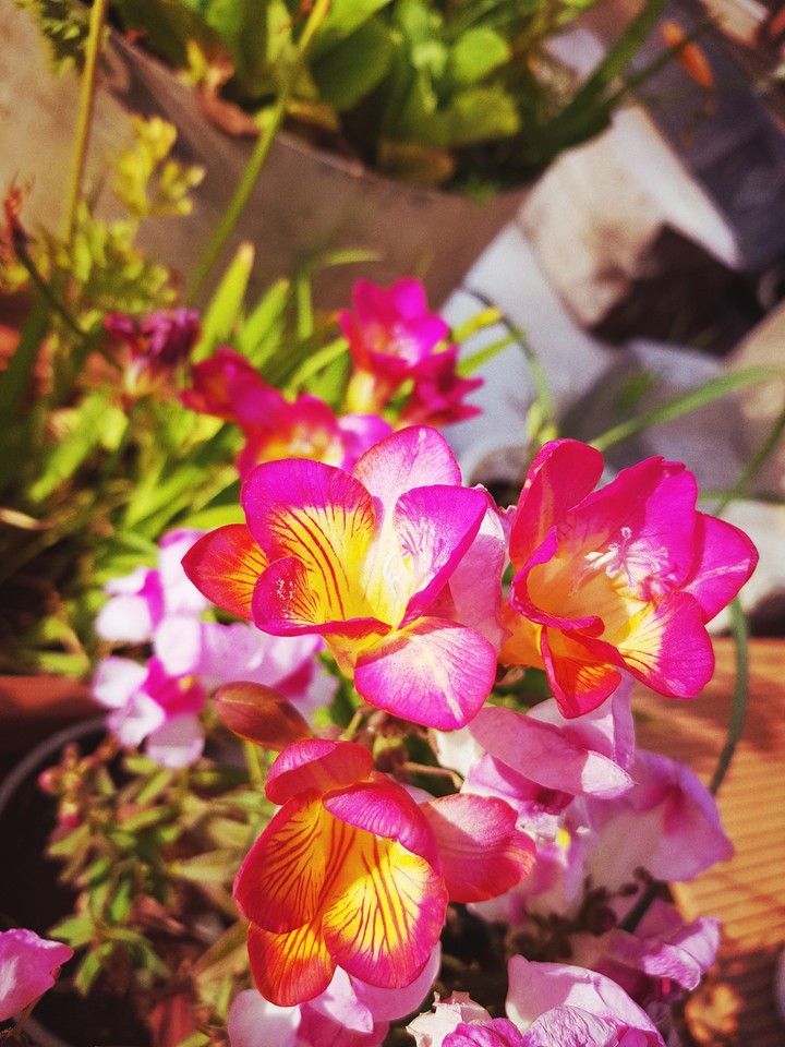 spring..
