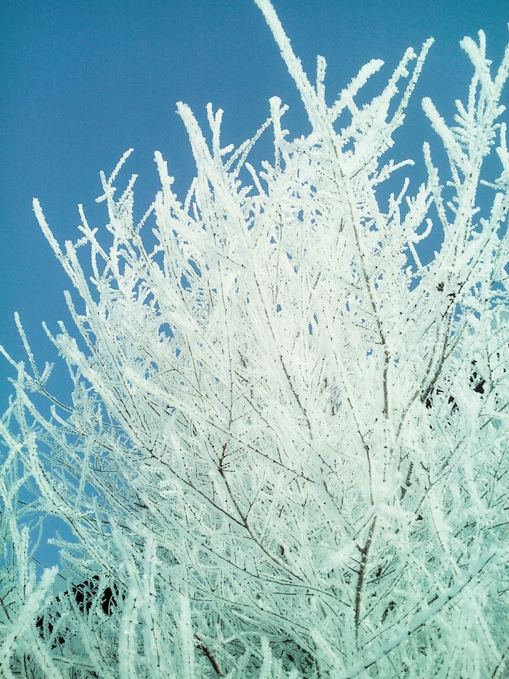 winter