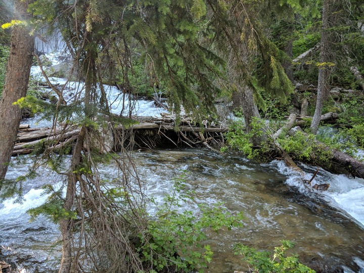 Nature at its finest