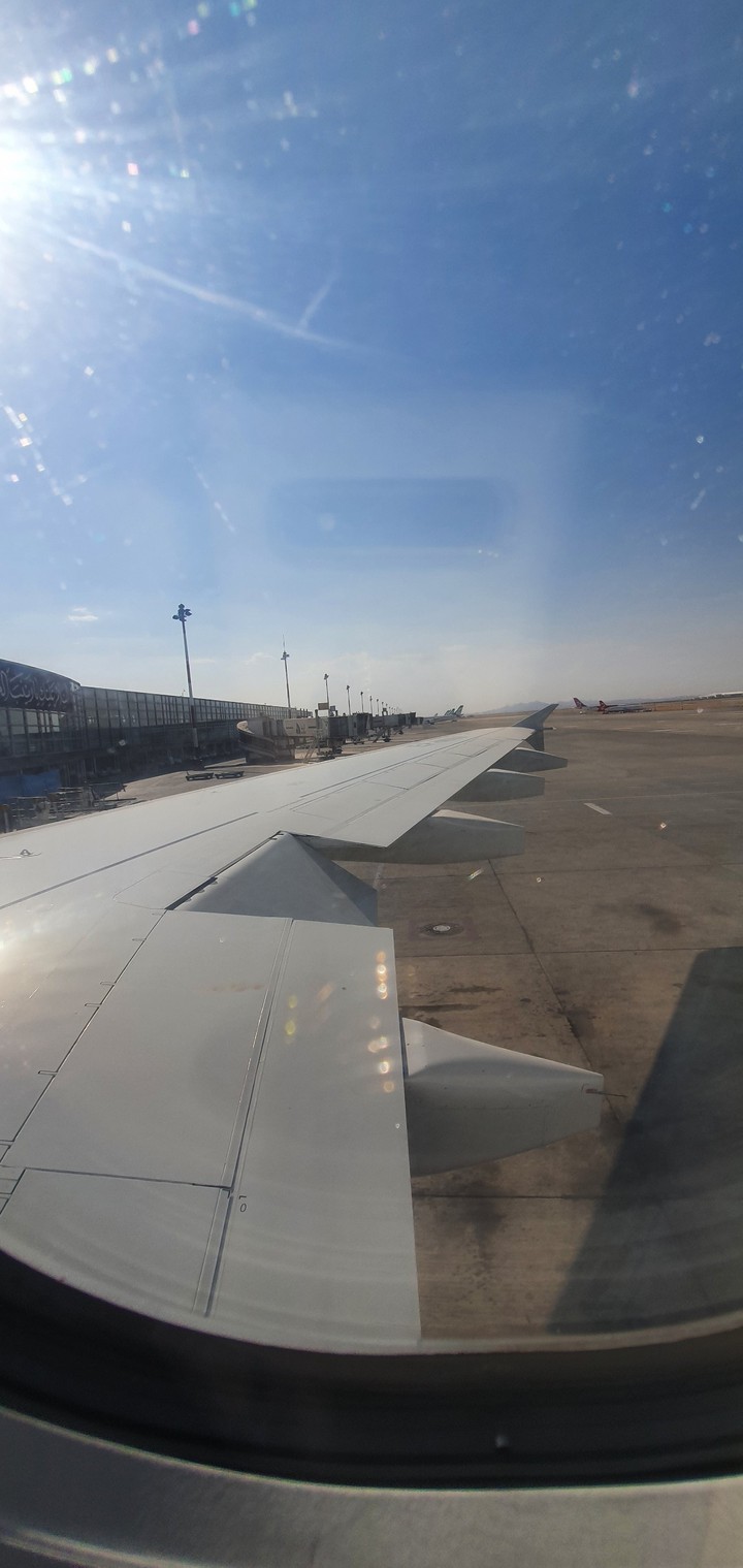 Plane wing