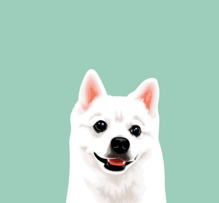 우리아기  뿌꾸
