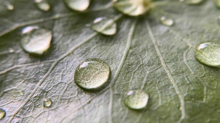 water drops