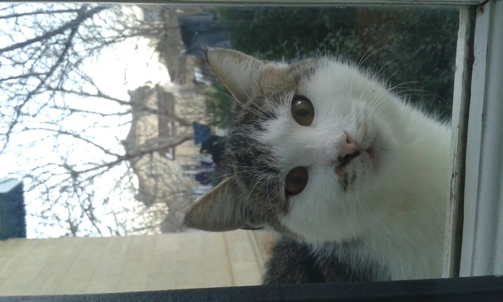 Do you take my photo?