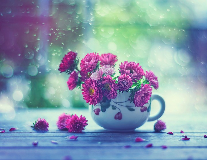 Flowers