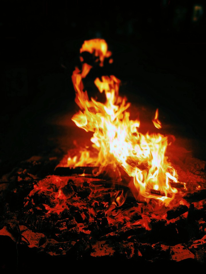 #bornfire#holi#celebration