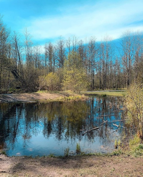 обои pond, Water