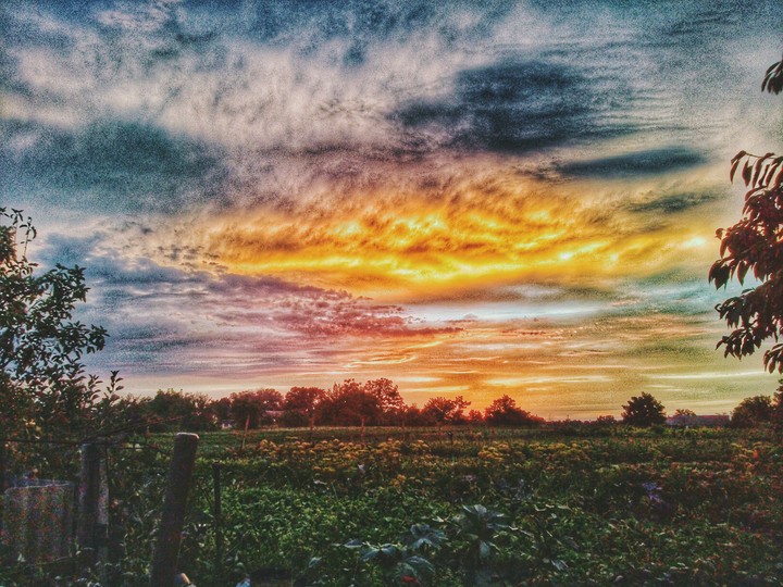 Природа