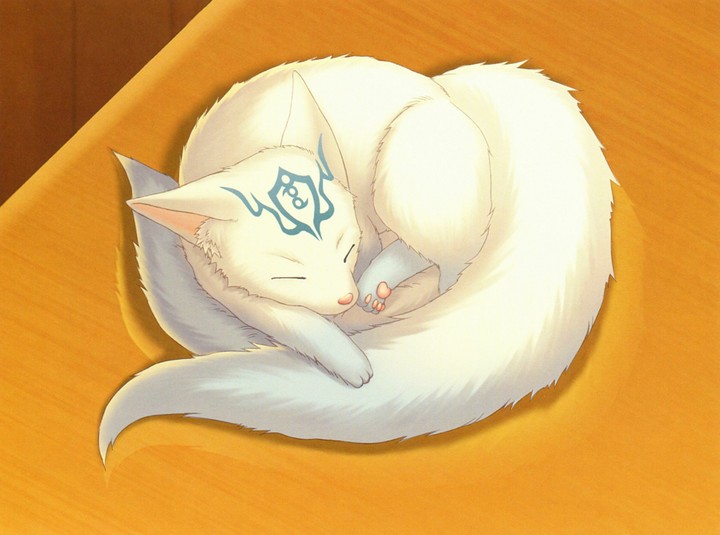raposa kawai