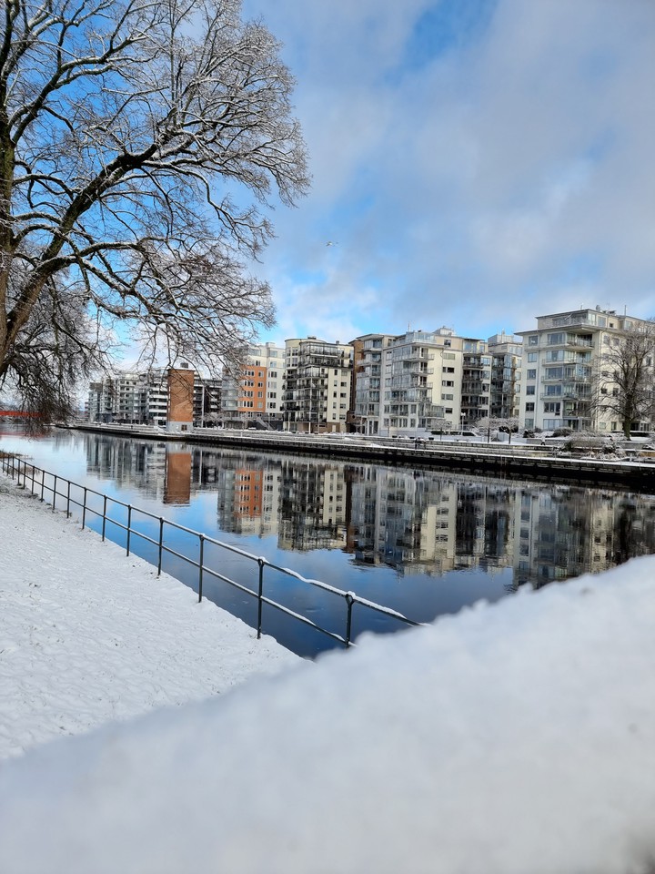Buildings along the river.