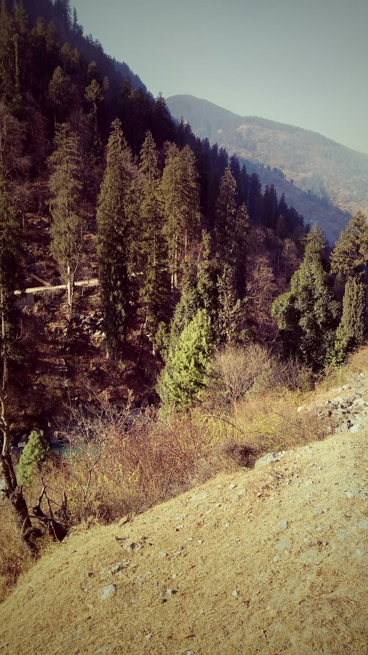 Himalaya Beauty