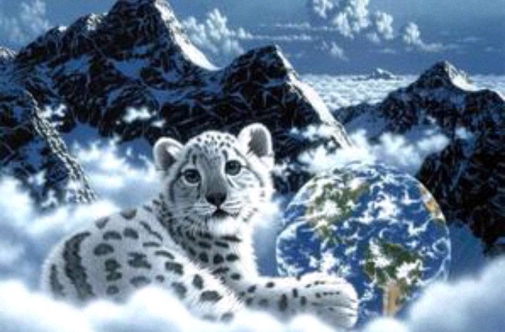 animaux