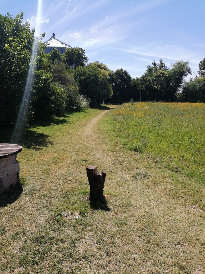 campo