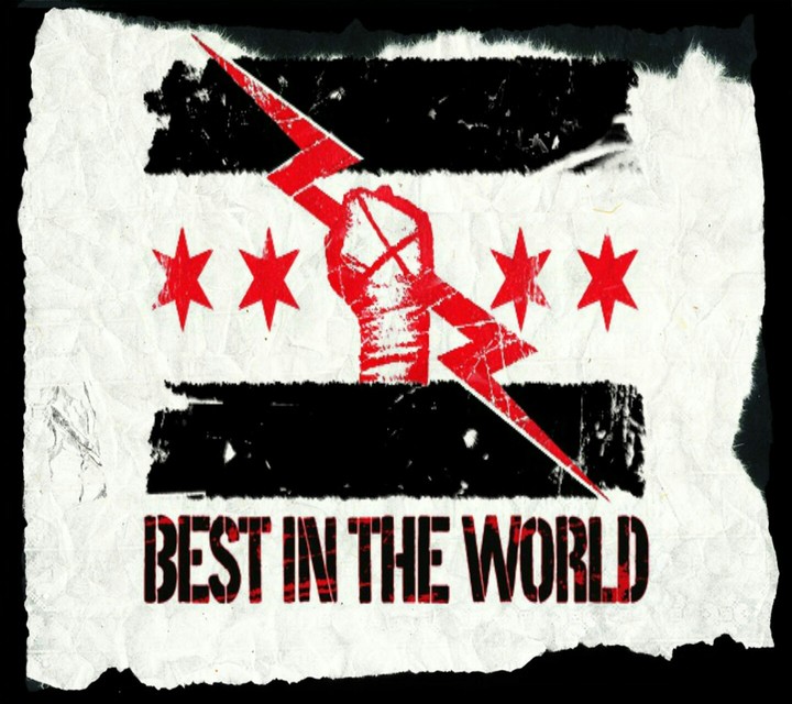 CM Punk (BEST IN THE WORLD)