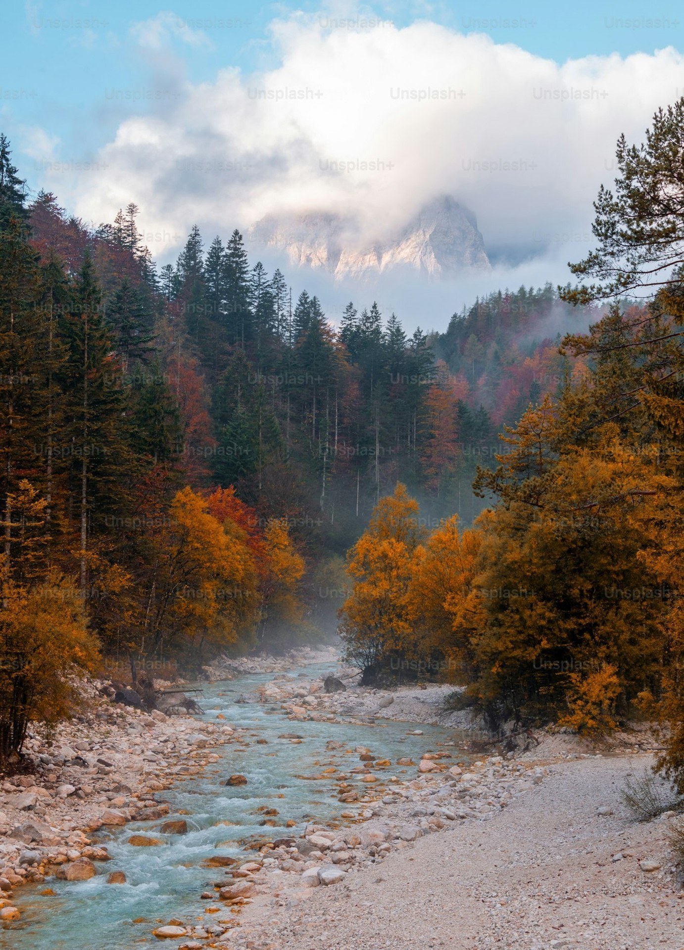 tapety Wilderness, Autumn