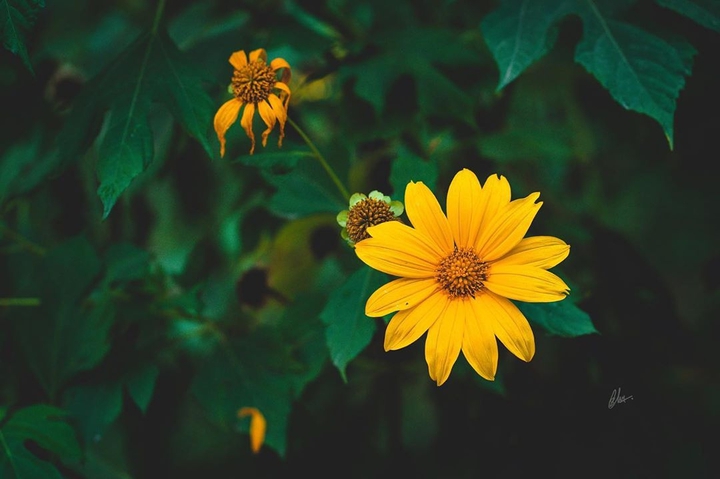 my photographing (Rj)