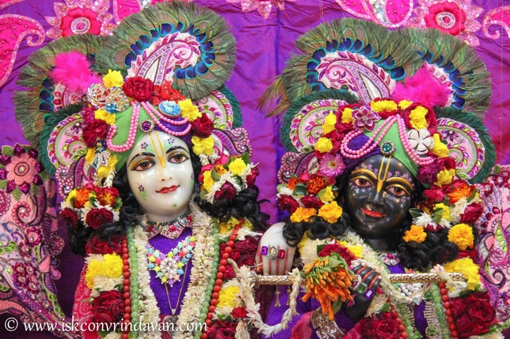 Krishna Balaram