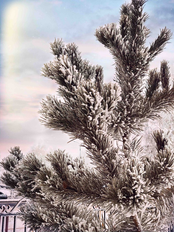 snow