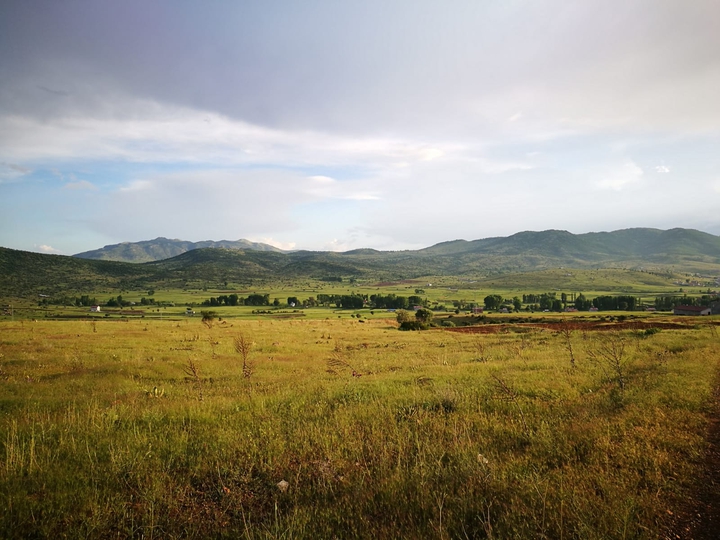 doğa