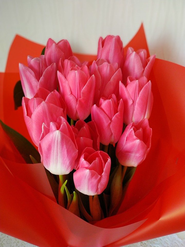 tulips