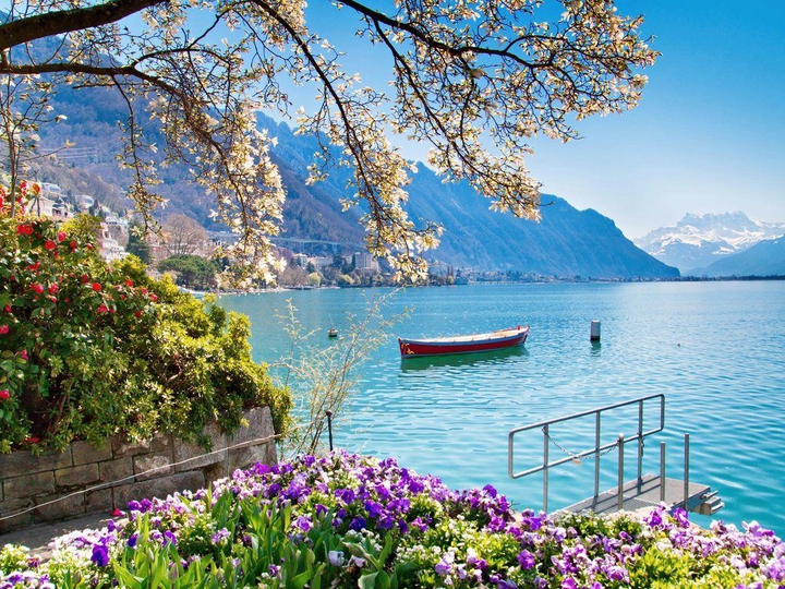 Wonderful landscape