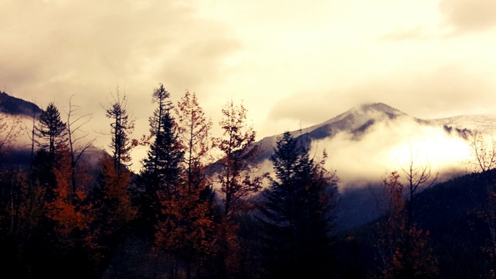 Rocky Mt. Mist