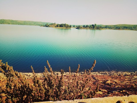 sfondi loch, ecosystem