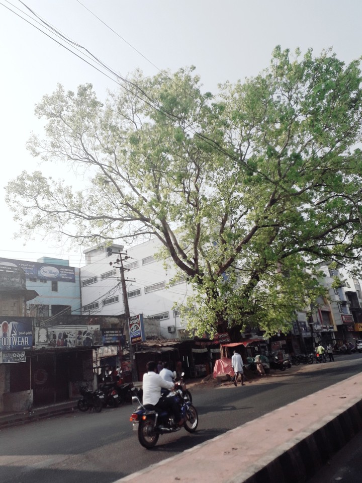 my click