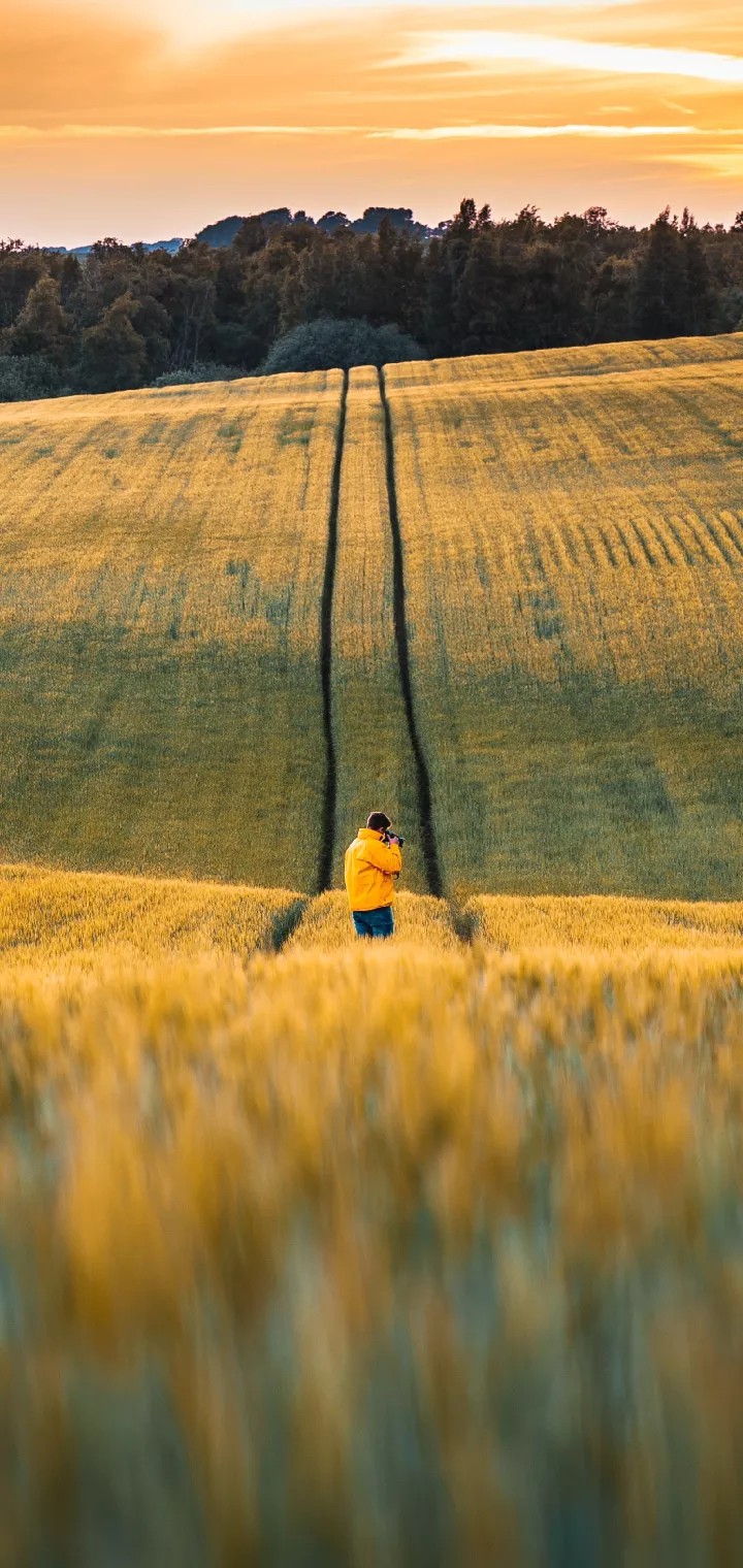 Autumn scenery