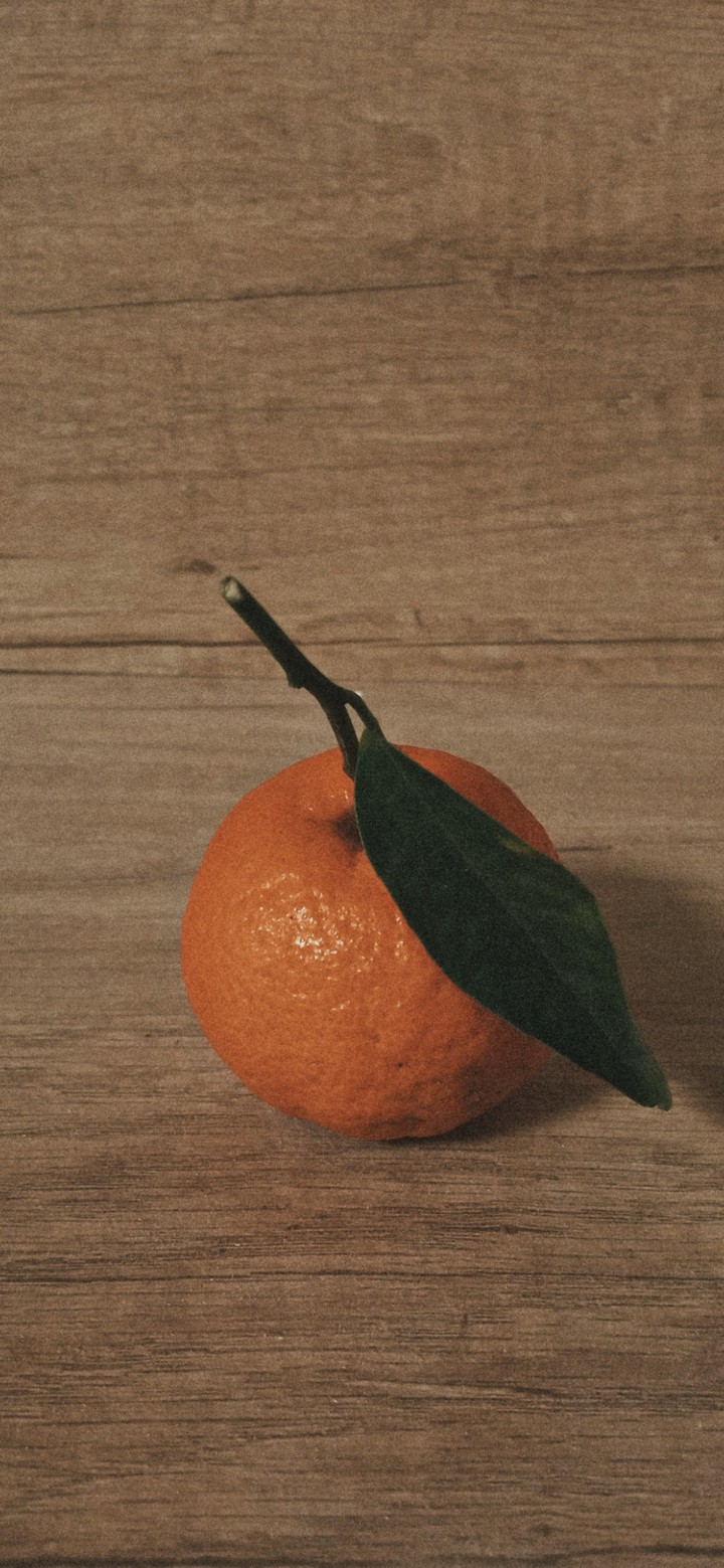 fruit