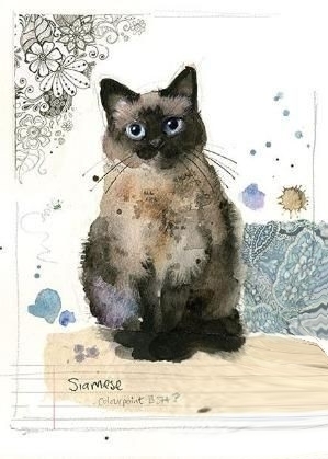 Aquarelle