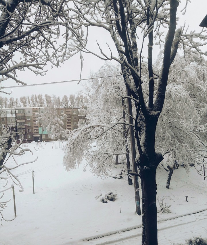 Winter