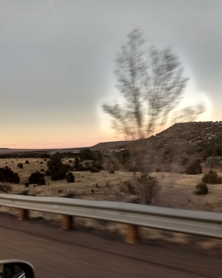 tree aura