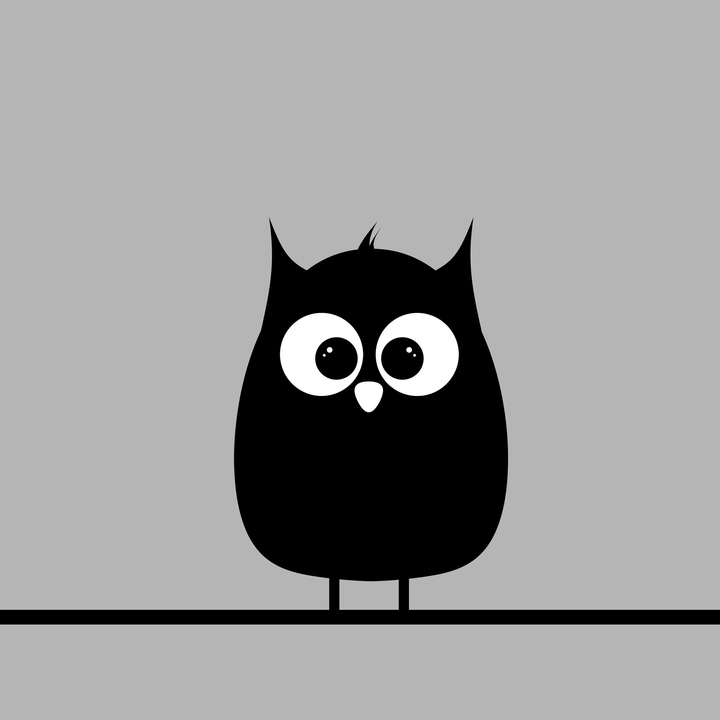 Owl.