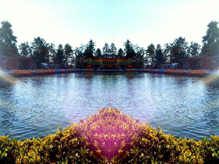 landscape