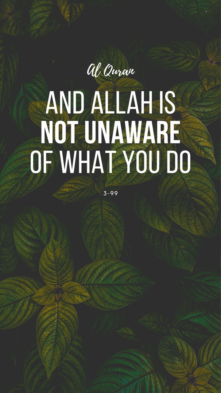 islam islamic Allah