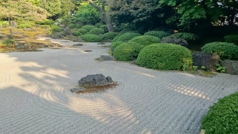 Japanese garden