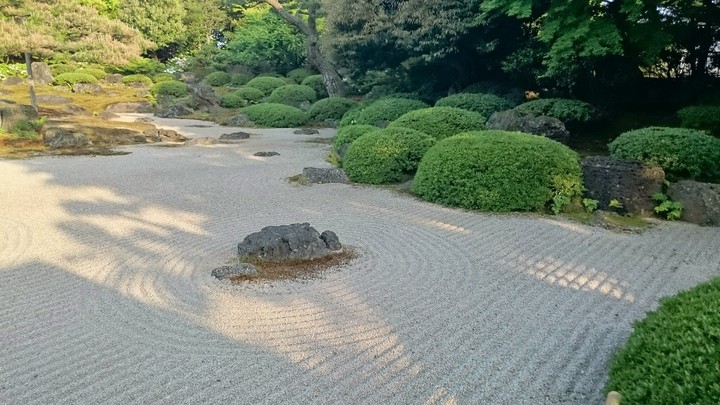 Japanese garden