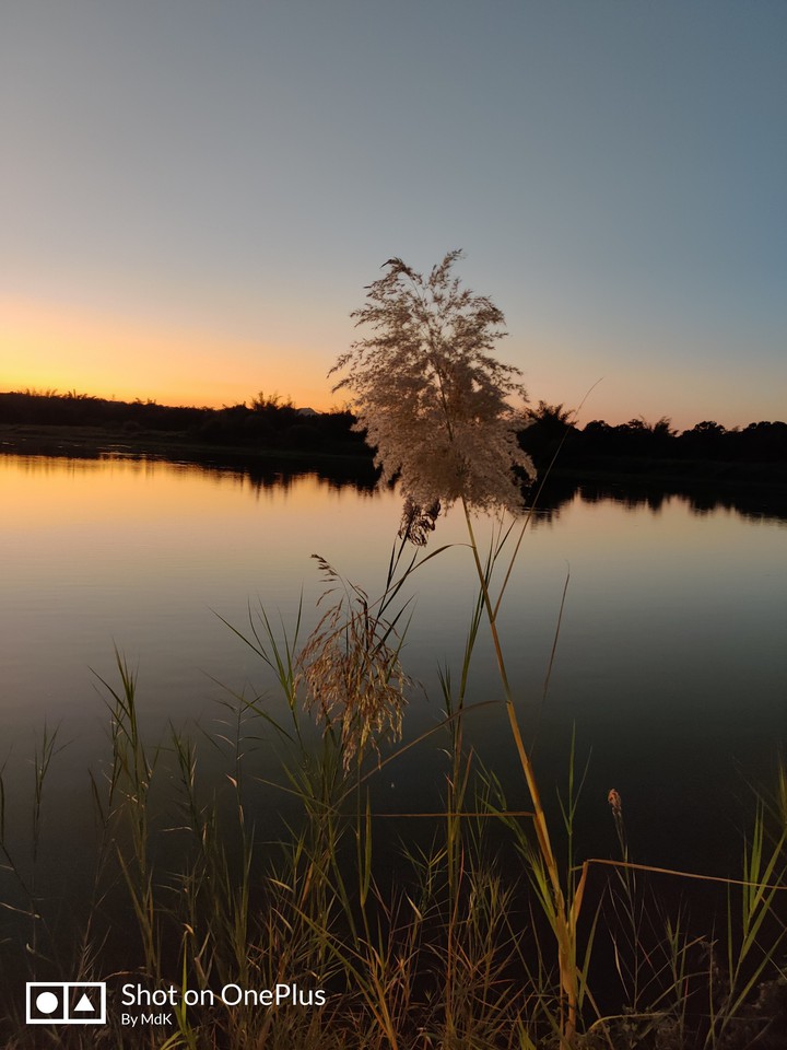 naturr n sunset