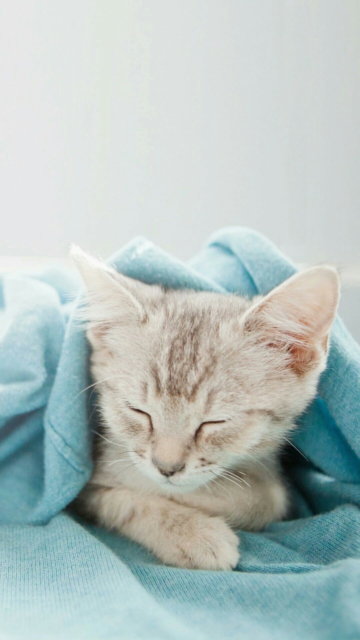 gud nyt