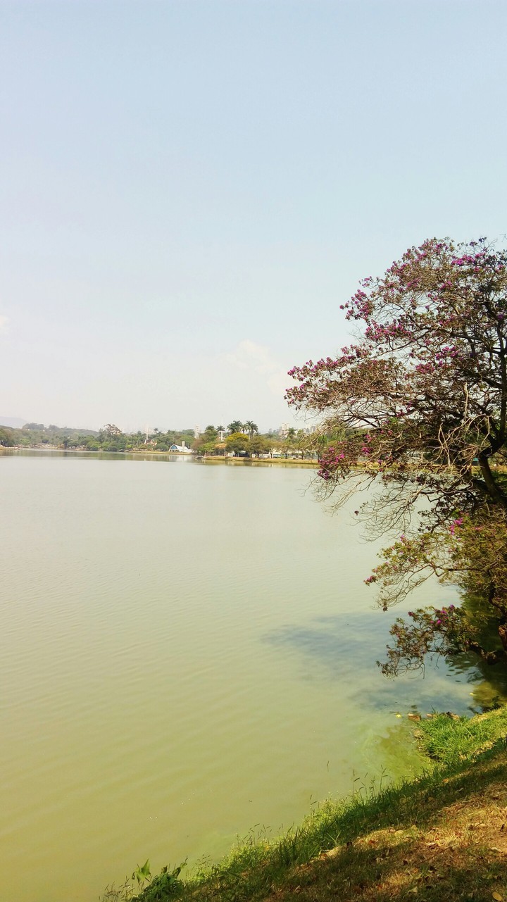 lake