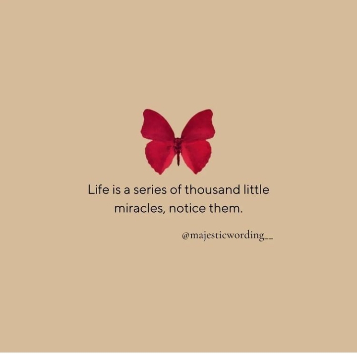 Live Life Happily .....