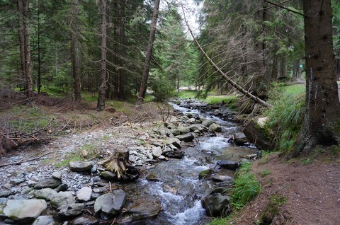 Bucegi Natural Parc