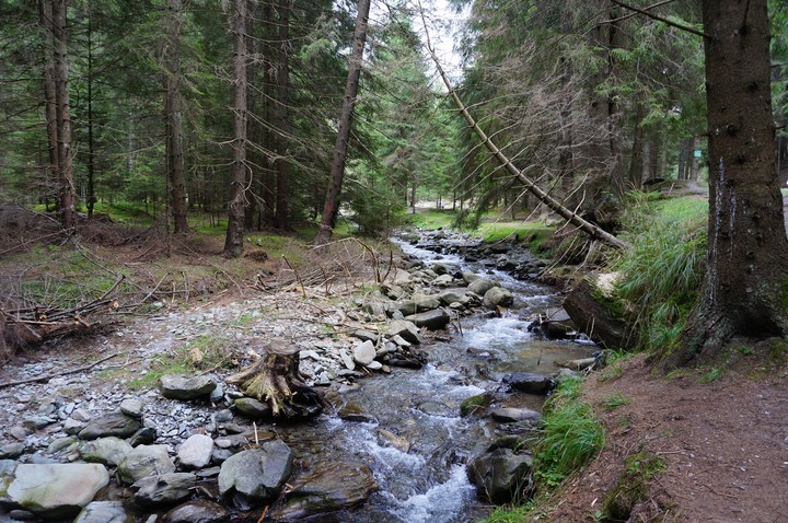 Bucegi Natural Parc