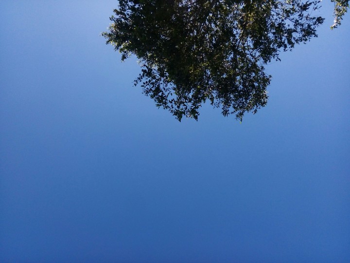 #sky