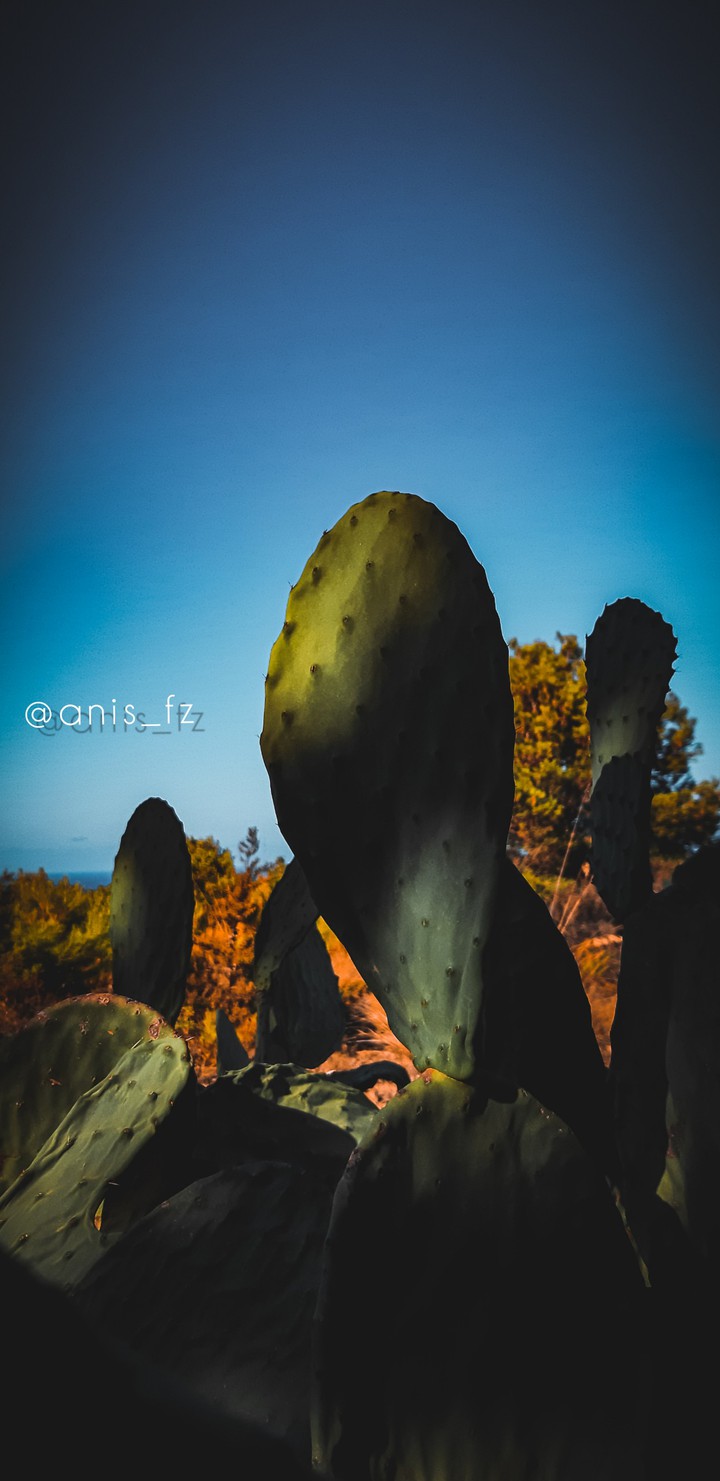 nature