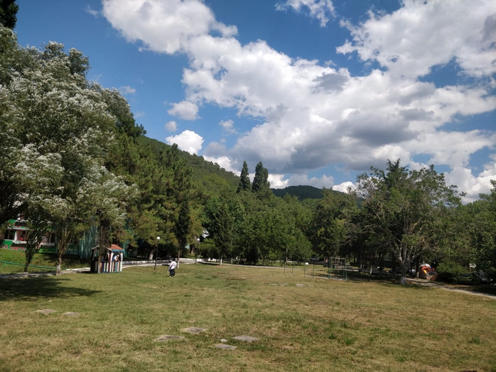 Mounth
