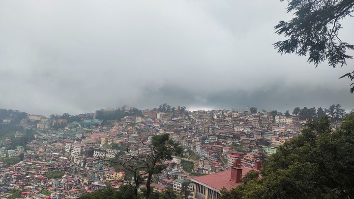 Shimla